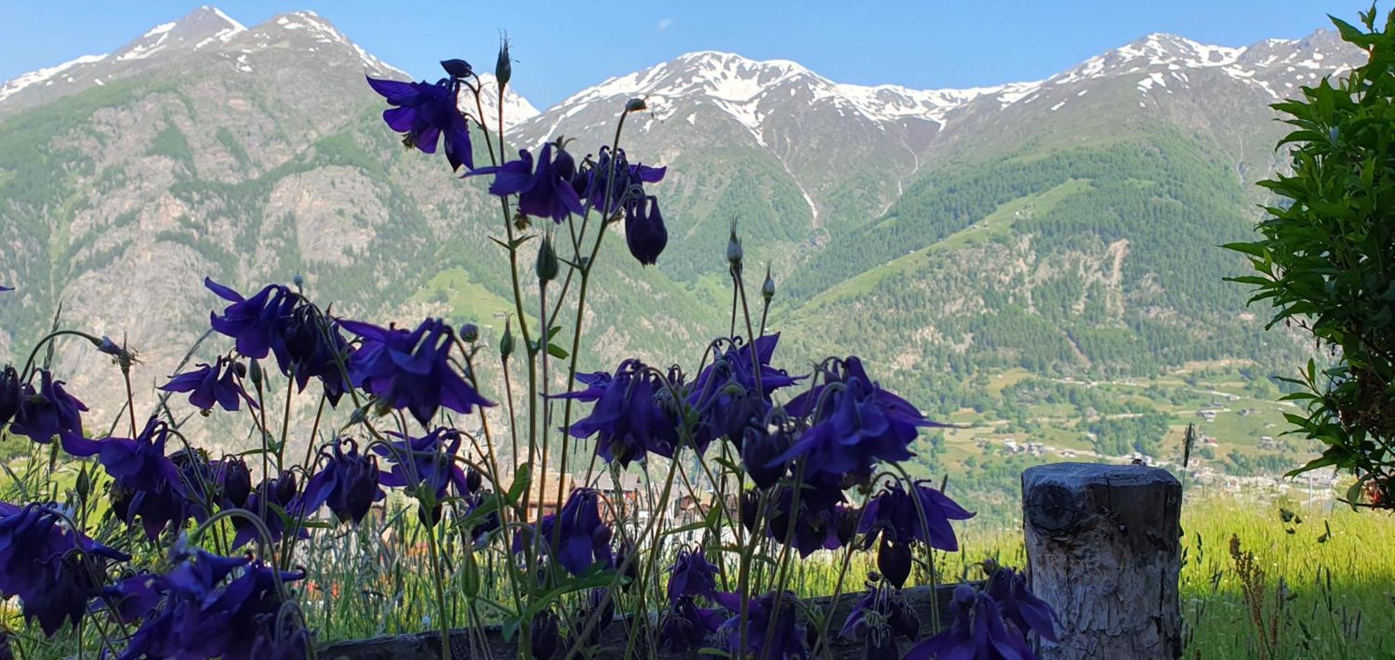 Chalet Schneevogul Grachen Bagian luar foto